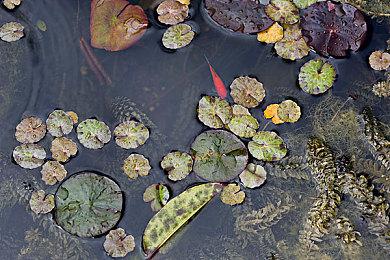 今晚吃鸡！《战地6》大逃杀模式实机演示视频泄露！